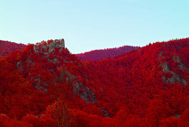 infrared photo b