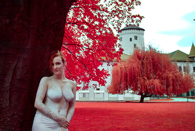 infrared photo c