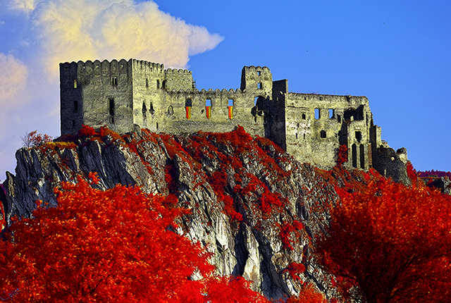 infrared photo d