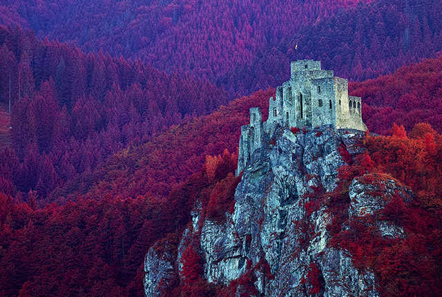 infrared photo f