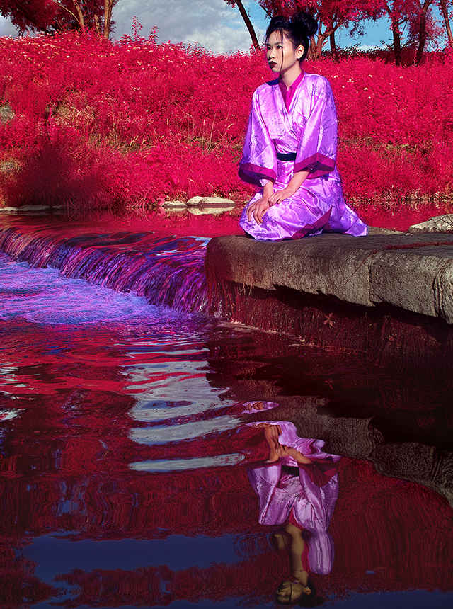 infrared photo i